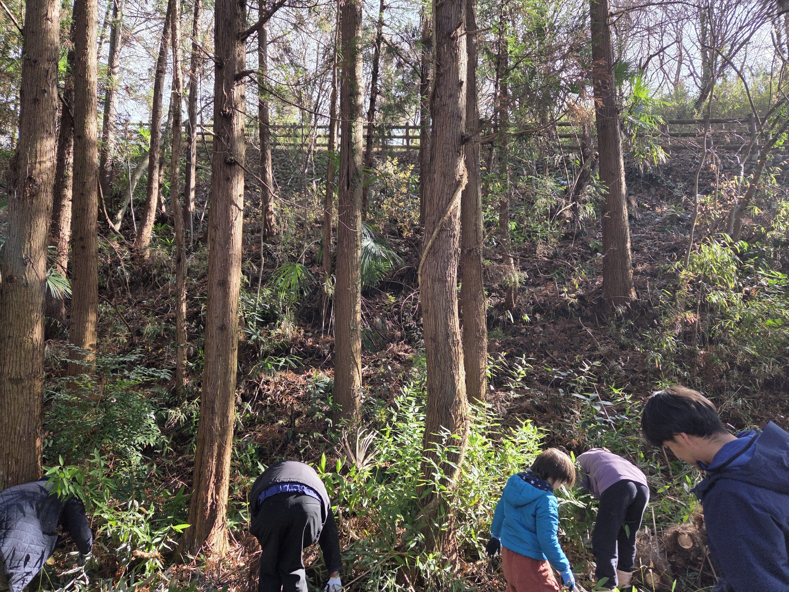 子どもも大人もハサミでちょきちょき